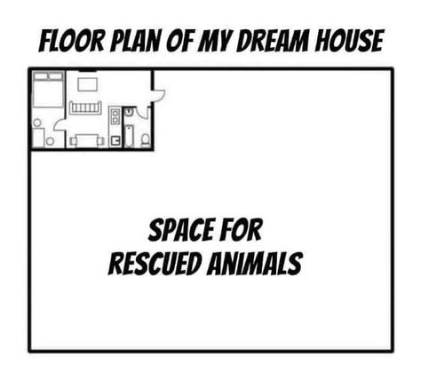 FACT Love Animals, Floor Plans, Dream House, How To Plan, Animals