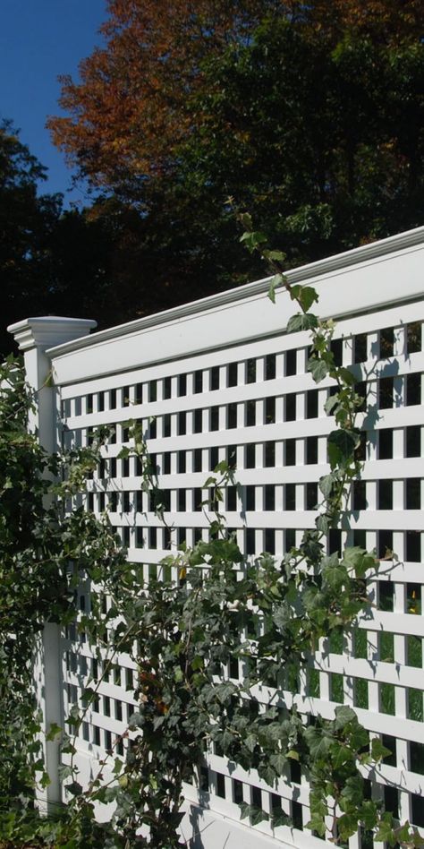 Backyard Enclosures, Lattice Fence Panels, Cheap Privacy Fence, Privacy Fence Ideas, Diy Garden Landscaping, Square Lattice, Lattice Trellis, Privacy Fence Designs, Cheap Backyard