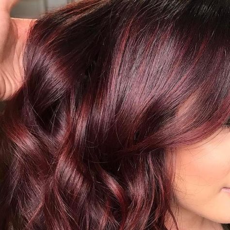 Mahogany Red Hair, Mahogany Brown Hair Color, Mahogany Hair Color, Merlot Hair Color, Red Hair Color Shades, Mahogany Brown Hair, Red Brown Hair Color, Brown Ombre Hair Color, Hair Color Mahogany