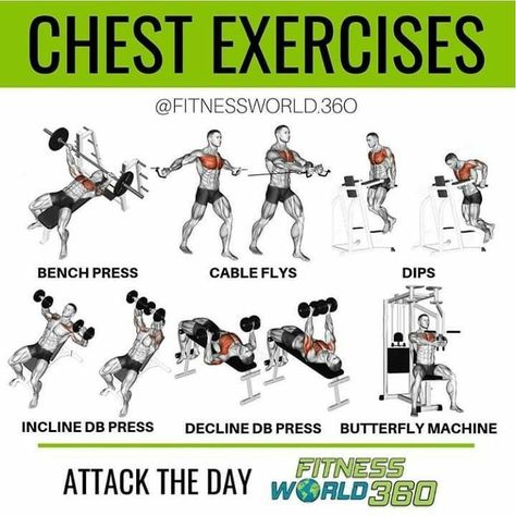 Chest Workouts For Men, Chest Day Workout, Arm Day Workout, Deadlift Squat, Chest Workout For Men, Chest Workout Routine, Chest Day, Gym Workout Guide, Chest Exercises