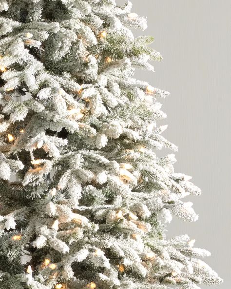 BH Frosted Fraser Fir® Artificial Christmas Trees | Balsam Hill Narrow Christmas Tree, Fraser Fir Christmas Tree, Prelit Tree, Fraser Fir, Fir Christmas Tree, Twinkly Lights, Artificial Christmas Trees, Balsam Hill, Black Christmas Trees