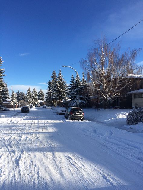 #Calgary in December #Beautiful #Alberta #Canada Calgary Snow, Canada Life, Alberta Canada, Calgary, Quick Saves