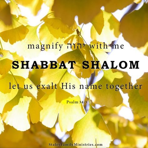 Shabbat Shalom! ~ O magnify YHVH with me, And let us exalt His name together.  Psalms 34:3 Shabbat Shalom Images Beautiful, Happy Sabbath Quotes, Sabbath Quotes, Shabbat Shalom Images, Hebrew Roots, Happy Sabbath, Shabbat Candles, Bible Study Methods, Hebrew Language