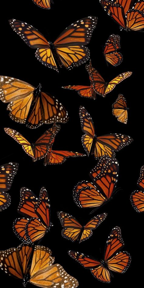 Monarch Wallpaper Iphone, Monarch Butterfly Wallpaper, Monarch Butterfly Aesthetic, Dark Phone Wallpapers Butterfly, Monarch Butterfly Phone Wallpaper, Monarch Butterfly Background, Monarch Butterflies Photography, Butterfly Aesthetic Monarch, Aesthetic Monarch Butterfly