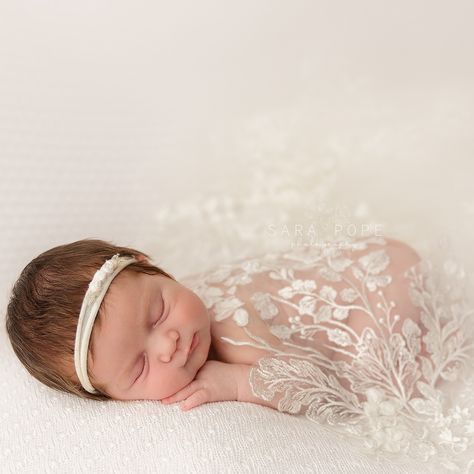 Nestled beneath a veil of love 🤍 . . . www.sarapopephotography.com . . . #sarapope #newborn #newbornbaby #newbornphoto #newbornposing #newbornsession #newbornphotography #newbornphotographer #eastbay #eastbayphotographer #oakley #oakleyca First Family Photos, Newborn Posing, Newborn Shoot, Newborn Pictures, Diy Photo, Children And Family, Baby Photoshoot, Wedding Veil, Newborn Session