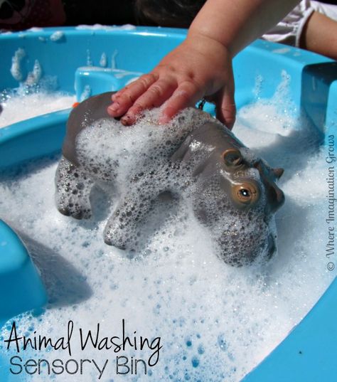 Animal Washing Sensory Play for Toddlers - Where Imagination Grows Sensory Play For Toddlers, Zoo Lessons, Preschool Zoo Theme, Zoo Preschool, Sensory Play Toddlers, Zoo Activities, Dear Zoo, Bubble Party, Toddler Classroom