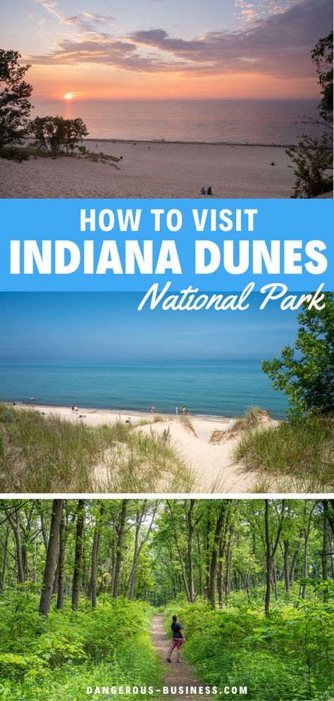 Indiana Dunes National Park is perfect to visit on a day trip from Chicago since it's just one hour away. Here's everything you need to know about visiting this national park, including the best things to do in just one day there. Narrows Zion National Park, Indiana Dunes State Park, Indiana Dunes National Park, National Park Camping, Indiana Travel, Indiana Dunes, National Parks Photography, Midwest Travel, Michigan City