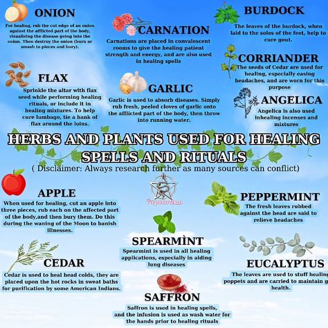 Healing Herbs used in Witchcraft 🧙‍♂️ 🪄 🧹 🧙‍♂️ #witch #herbs #herbsforhealth #plants #healing #witchesofinstagram #brujas #instagood #viralreels #paganartisan Herbs For Healing Witchcraft, Herbs Used In Witchcraft, Plants Healing, Herbs For Healing, Healing Witchcraft, Divination Witch, Paganism Spells, Witch Herbs, Healing Spells