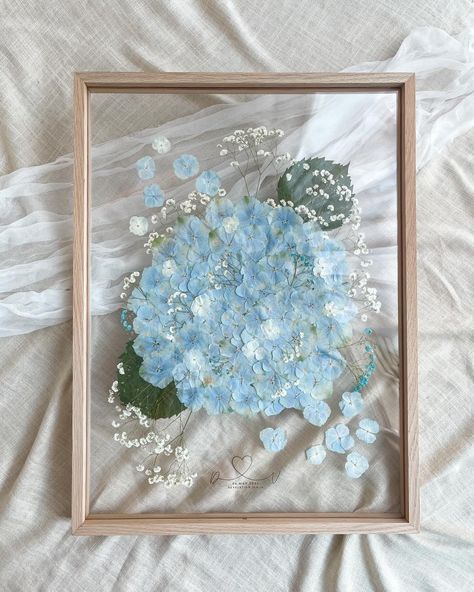 Pressed Flower Art Hydrangea, How To Press Hydrangeas, Hydrangea Pressed Flower, Pressing Hydrangeas, Pressed Hydrangea Art, Dainty Wallpaper, Hydrangea Decor, Pressed Hydrangea, Pressed Flowers Diy