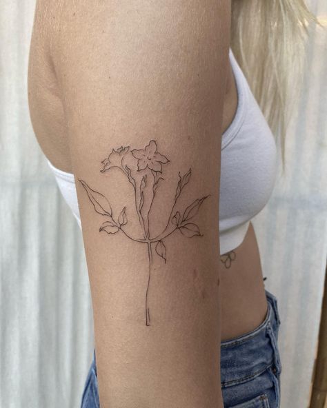 Flower Jasmine Tattoo, Jasmin Tattoo Flower, Jasmine Flower Back Tattoo, Jasminum Sambac Tattoo, Jasmine Flower Fine Line Tattoo, Simple Jasmine Flower Tattoo, Flower Tattoos Jasmine, Sampaguita Flower Tattoo, Flower Line Tattoo