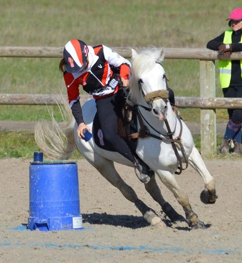 Mounted Games Pony, Mounted Games Horses, Horse Competition, Pony Games, Miniature Diorama, Diorama Ideas, Riding Lessons, Horse World, White Horses