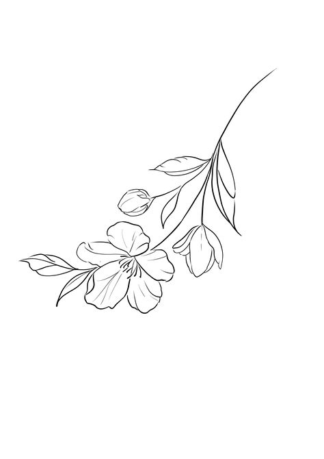 Flower Jasmine Tattoo, Jasmine Flower Sketch, Jasmine Flower Drawing, Jasmine Flower Tattoo, Gardenia Tattoo, Jasmine Tattoo, Lillies Tattoo, Water Lilly, Side Tattoos