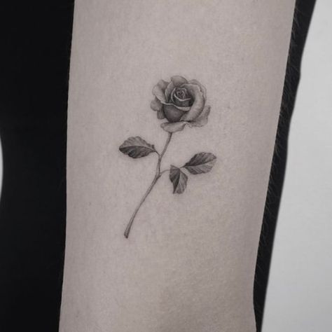 Micro Realism Rose Tattoo, Micro Realism Flower Tattoo, Micro Rose Tattoo, Small Rose Hand Tattoo, Jacks Tattoo, Rose Vine Tattoos, Single Rose Tattoos, Jack Tattoo, Rose Flower Tattoos