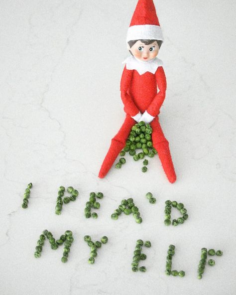 Elf on the Shelf Adventures on Instagram: “I PEA’D MY ELF!! WHAT YOU NEED: Peas 💚⠀⠀⠀⠀⠀⠀⠀⠀⠀⠀⠀⠀ #ElfontheShelfAdventures” Elf Ideas Easy, Bad Elf, Elf Kit, Awesome Elf On The Shelf Ideas, Elf Activities, Xmas Elf, Elf Antics, Elf Fun, Happy Thanksgiving Quotes