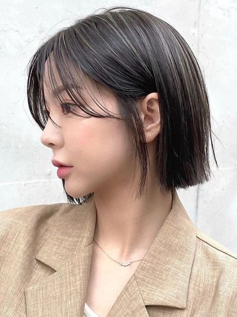 Ash Brown Balayage for Blunt Short Hair Ash Grey Balayage Short Hair, Brown Hair Color Styles, Korea Hair Color, Short Hair Korea, Ash Brown Hair Dye, Natural Hair Color Ideas, Hair Color Styles, Red Brown Hair Color, Brown Hair With Lowlights