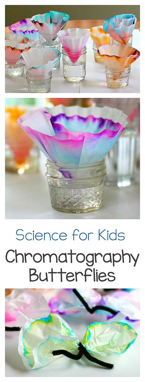 Art and Science for Kids: Explore chromatography using coffee filters and markers! Fun STEM / STEAM activity for children. Turn the results into a butterfly craft- perfect for spring! ~ BuggyandBuddy.com Vetenskapliga Experiment, Craft Butterfly, Kid Science, Butterfly Craft, Science Crafts, Kid Experiments, Spring Preschool, Stem Steam, Stem Projects