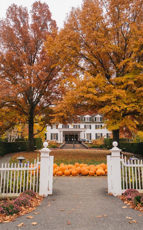 Woodstock Vt, Woodstock Vermont, Vermont Fall, 2 Days Trip, Farmhouse Pottery, Old Farm Houses, Summer Destinations, Scenic Routes, Scenic Drive