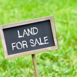 ILoveMurphy.com Cheap Land For Sale, Cheap Land, Business Card Unique, Real Estate Coaching, Plot Of Land, Real Estate Marketing Design, Beginners Gardening, Homestead Farm, Gardening Gifts