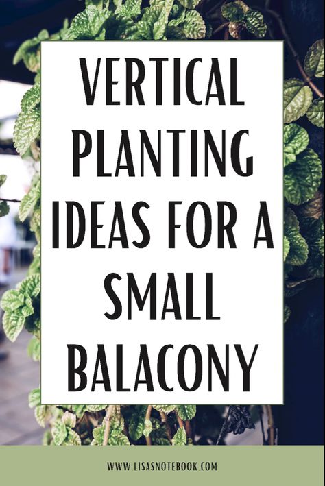 If you live in an apartment, cultivating a small balcony garden can be a very rewarding and self care activity. Vertical planting is hugely popular in small balcony gardens. Here are some planting inspiration for you to start your own small garden to enjoy. #balconygarden #verticalgardening Vertical Garden Small Balcony, Balcony Plant Wall Ideas, Hanging Plants Outdoor Balcony, Balcony Vertical Garden, Balcony Plant Wall, Apartment Garden Balcony, Balcony Garden Ideas Apartment, Balcony Vegetable Garden, Balcony Plants Ideas