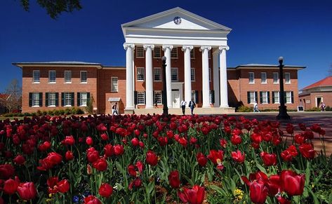 10 of the Easiest Classes at Ole Miss - Humans of University Ole Miss Campus, Ole Miss Tailgating, Ole Miss Football, Oxford Mississippi, School Of Law, Hotty Toddy, Ole Miss Rebels, University Of Mississippi, College Town