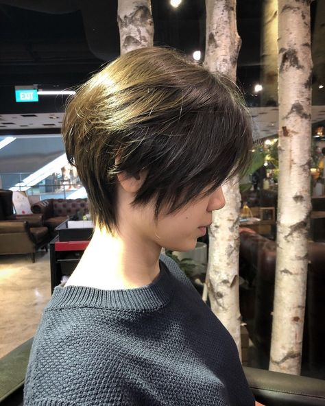 ผมทรง Long Pixie, Tomboy Haircut, Black Pixie, Korean Haircut, Short Hair Tomboy, Geometric Hair Clip, Hair Services, Korean Short Hair, Pixie Bob Haircut