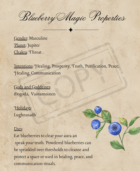 Set of 18 BEAUTIFUL Grimoire pages with A-Z fruits and their lore and properties. Download instantly today! Blueberry Magical Properties, Fruit Magic, Magic Grimoire, Earth Witch, Grimoire Pages, Pagan Decor, Kitchen Magic, Herbal Magic, Witch Books