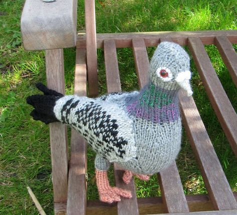 Hi, Im the madmonkeyknitter from www.madmonkeyknits.com and I design and sell totally mad knitting patterns.Here is the My Pet Pigeons knitting pattern. These lovely birds are lifesize standing at 9 inches high (23cm). The pattern covers the two designs shown here and if you mix and Toy Knitting Patterns, Pet Pigeon, Animal Knitting, Knitted Toys Free Patterns, Animal Knitting Patterns, Crochet Birds, Knitting Patterns Toys, Bird Crafts, Knitted Animals