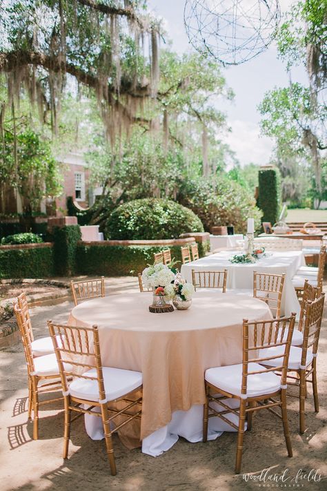 Table Arrangements For Wedding, Peach Centerpieces, Afternoon Reception, Natural Elements Decor, Wedding Shower Centerpieces, Chivari Chairs, Ceremony Outdoor, Wedding Venue Locations, Wedding Planning Decor