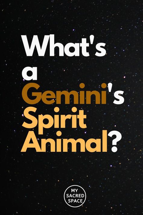 If your zodiac sign is Gemini, you must be wondering what your spirit animal is. Well, your zodiac sign has a minimal role to play in this regard. Spirit animals are unique to everyone, and all those born on the same date do not have the same spirit animal. Depending on who you are, a different spirit animal may appear to you to send some messages. So, let’s first know different characteristics of the Gemini zodiac sign. #geminispiritanimal #geminizodiacspiritanimal #spiritanimalforgemini Zodiac Signs Animals, Thank You Happy Birthday, Gemini Zodiac Sign, Happy June, Your Spirit Animal, Spirit Animals, Zodiac Signs Gemini, Gemini Zodiac, Sacred Space