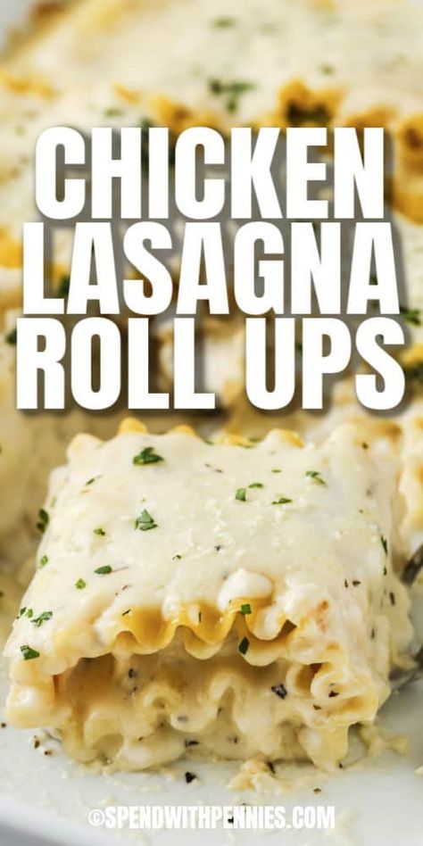 Try making chicken lasagna rollups for make ahead or batch cooking lunches for the week. Add a topping of bacon bits for extra savory flavor!  #spendwithpennies #chickenlasagnarollups #entree #recipe #white #alfredosauce #creamy #easy #cheese #broccoli Chicken Lasagna Rollups, Chicken Alfredo Lasagna Rolls, Alfredo Lasagna Rolls, Chicken Lasagna Roll Ups, Meal With Chicken, Chicken Lasagna Rolls, White Lasagna, Cheese Broccoli, Chicken Alfredo Lasagna