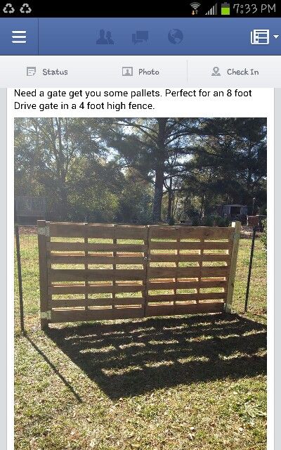 Gate Out Of Pallets, Diy Livestock Fence, Diy Wood Horse Projects, Diy Pallet Gate Outdoor, Pallet Gates Outdoor, Gate Made From Pallets, Goat Gate Ideas, Sheep Pasture Ideas, Pallet Farm Projects