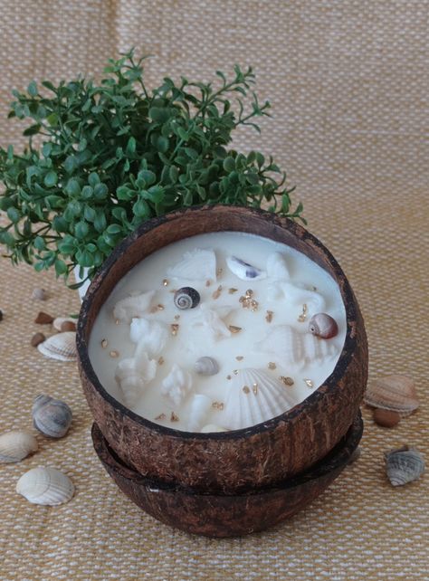 Shell Decorating Ideas, Aesthetic Diy Ideas, Shell Candles Diy, Unique Candle Containers, Coconut Room, Home Made Candles, Beachy Candles, Beach Candles, Coconut Shell Candle