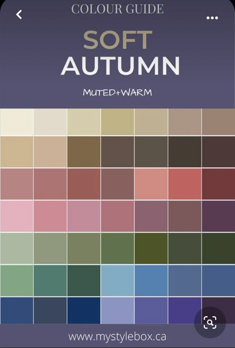 Soft Autumn Color Palette Fashion, Soft Autumn Makeup, Deep Autumn Palette, Soft Autumn Palette, Autumn Skin, Soft Autumn Color Palette, Soft Summer Palette, Skin Color Palette, Soft Summer Colors