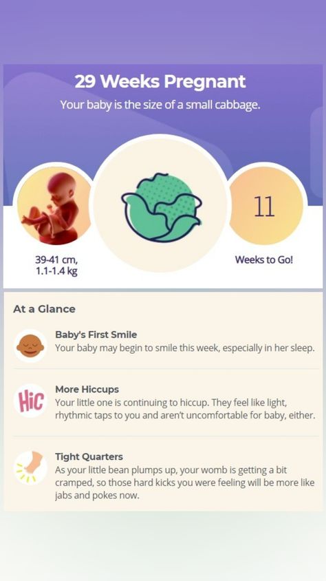 29 Week Pregnancy, Pregnancy Development, Baby Development Chart, 29 Weeks Pregnant, Baby Countdown, Weeks Of Pregnancy, 5 Month Old Baby, Baby Development Activities, Pregnancy Week