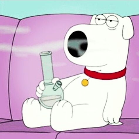 Brian Griffin smoking pot Brian Griffin, Family Guy