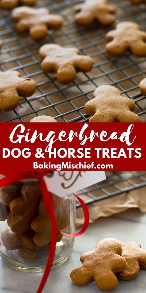 Gingerbread Dog Treats, Dog Treats Homemade Christmas, Yogi Recipes, Horse Treats Recipe, Horse Cookies Recipes, Gingerbread Treats, Homemade Horse Treats, Gingerbread Dog, Dog Cookie Recipes