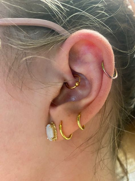 3 lobes, one helix (cartilage), and the daith (in the middle) Middle Cartilage Piercing, Helix Piercing, Cartilage Piercing, Helix, Tattoos And Piercings, Piercings, Tatting, Tattoos, Gold