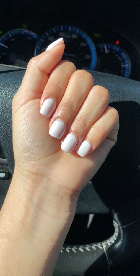 White Bunny, Nails, White, Bonito