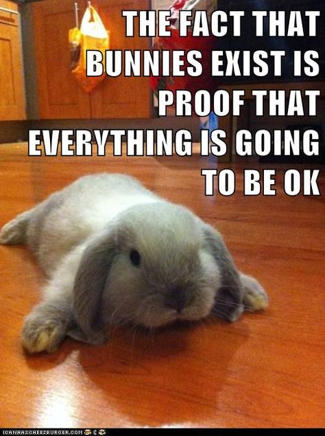 THE FACT THAT BUNNIES EXIST IS PROOF THAT EVERYTHING IS GOING TO BE OK Benny And Joon, Somebunny Loves You, Funny Rabbit, Pet Bunny, Bunny Pictures, Diy Spring, Funny Bunnies, Baby Bunnies, Hamsters