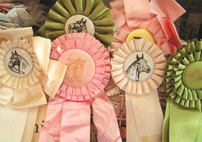 Horse Show Ribbons, Horse Ribbons, Equestrian Chic, Horse Party, Horse Birthday, Kentucky Derby Party, Pony Party, Cowgirl Party, Derby Party