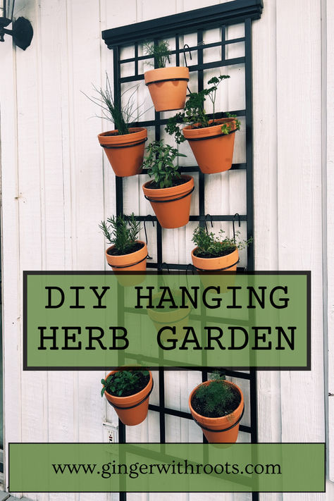 hanging herb garden DIY Diy Hanging Herb Garden, Herb Planters Outdoor, Hanging Herb Gardens, Herb Garden Wall, Garden Grid, Alfresco Decking, Garden Rack, Outdoor Herb Garden, Wall Trellis