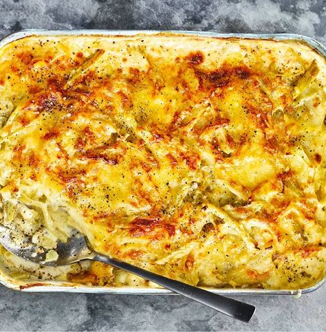 Potato-Fennel Gratin Fennel Gratin, Baked Fennel, Creamy Cheesy Potatoes, Veggies Recipes, Fennel Recipes, Potato Gratin, Giant Food, Cheesy Potatoes, Sliced Potatoes