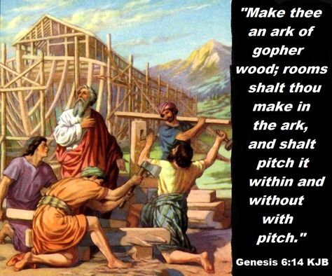 Genesis 6:14 KJB Noah Building The Ark, Doomsday Prepper, Oldest Bible, Bible Resources, Noah S Ark, Bible Pictures, Childrens Bible, Bible Lessons For Kids, Biblical Art