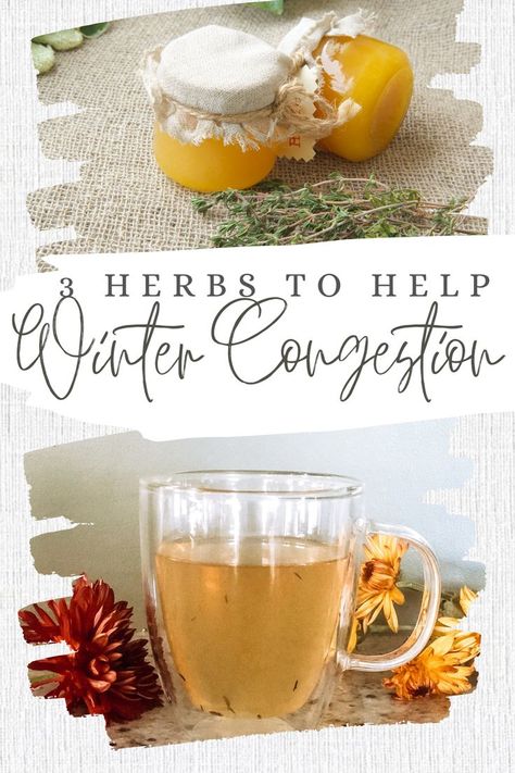 Home Remedies For Congestion, Remedy For Sinus Congestion, Natural Remedies For Congestion, Congestion Remedies, Home Remedies For Sinus, Thyme Tea, Tincture Bottles, Tea Remedies, Homemade Tea