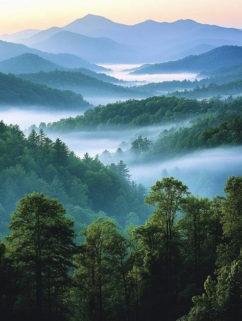 Anniversary Tattoo, Mountain Summer, Mountains Aesthetic, The Outlaw, North Carolina Mountains, Painting Subjects, Appalachian Mountains, Pretty Landscapes, Great Smoky Mountains National Park