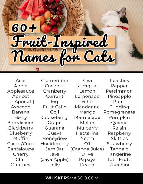 From classics like Mango, Berry, Peach, and Olive, to creative options like Fig, Marmalade, Chili, and Coconut, check out 60+ sweet fruit names for cats and kittens, right here! Berry Names, Fig Marmalade, Cat Foster, Names For Cats, Cat Symbolism, Chocolate Names, Sims Names, Oc Names, Cute Cat Names