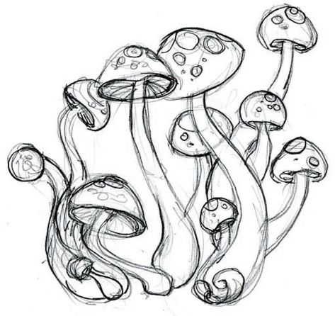 Drawings Of Mushrooms, Hand Made Shoes, Trippy Drawings, Mushroom Drawing, Some Sketches, Indie Drawings, Pencil On Paper, Arte Sketchbook, Mushroom Art