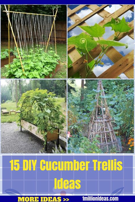 Planting cucumbers in your garden or balcony is an enjoyable and rewarding experience, promising to offer sun-ripen crunchy cucumbers, which are staples… Cucumber Trellis Ideas, Planting Cucumbers, Balcony Trellis, Cucumber Trellis Diy, Cucumber Trellis, Diy Garden Trellis, Trellis Ideas, Planter Bags, Outdoor Trellis