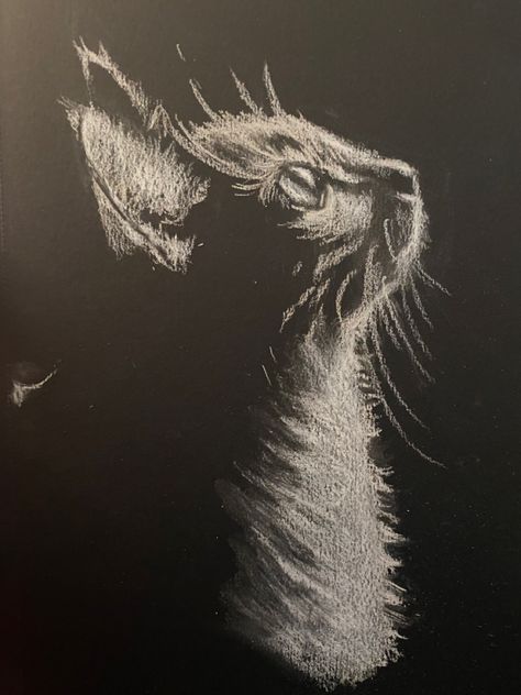 White Pencil Art On Black Paper, Chalk Art Black And White, White Art On Black Paper, White Chalk On Black Paper, White Pen On Black Paper Drawing Simple, Charchol Art Aesthetic, Soft Pastel On Black Paper, White Pencil Sketch On Black Paper, Black Paper Drawing Easy