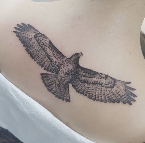 Red Eagle Tattoo, Hawk Flying Tattoo, Kite Bird Tattoo, Slovak Tattoo, Bird Back Tattoo, Red Tailed Hawk Tattoo, Golden Eagle Tattoo, Hawk Tattoo Design, Feminine Eagle Tattoo